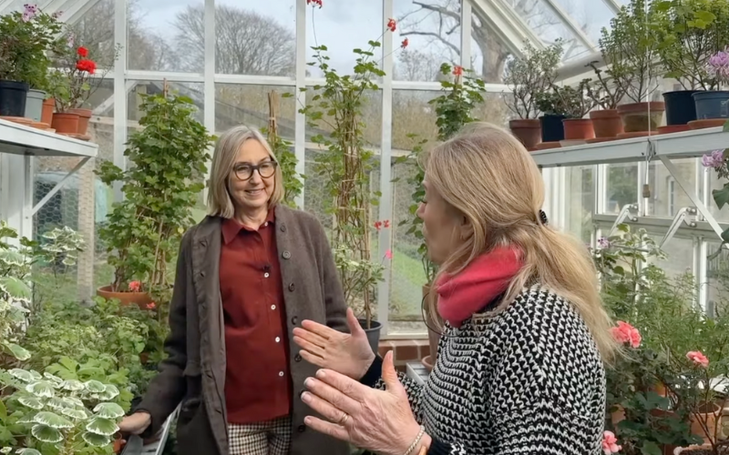 When Bunny Guinness Came to Visit