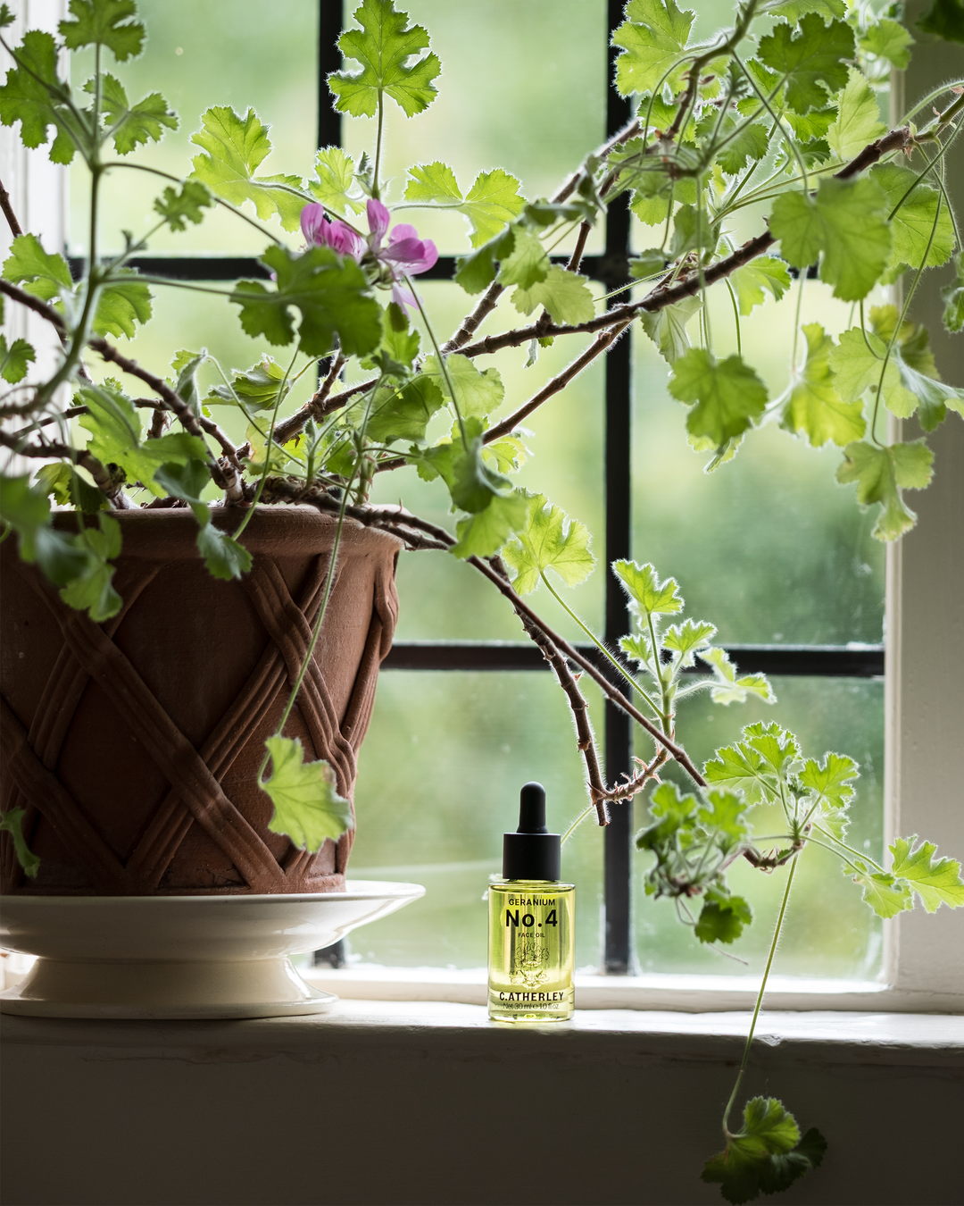 Our No.4 Face Oil is as Good as it Looks