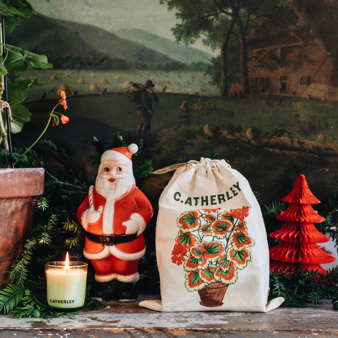 Potted Geranium Drawstring Bag