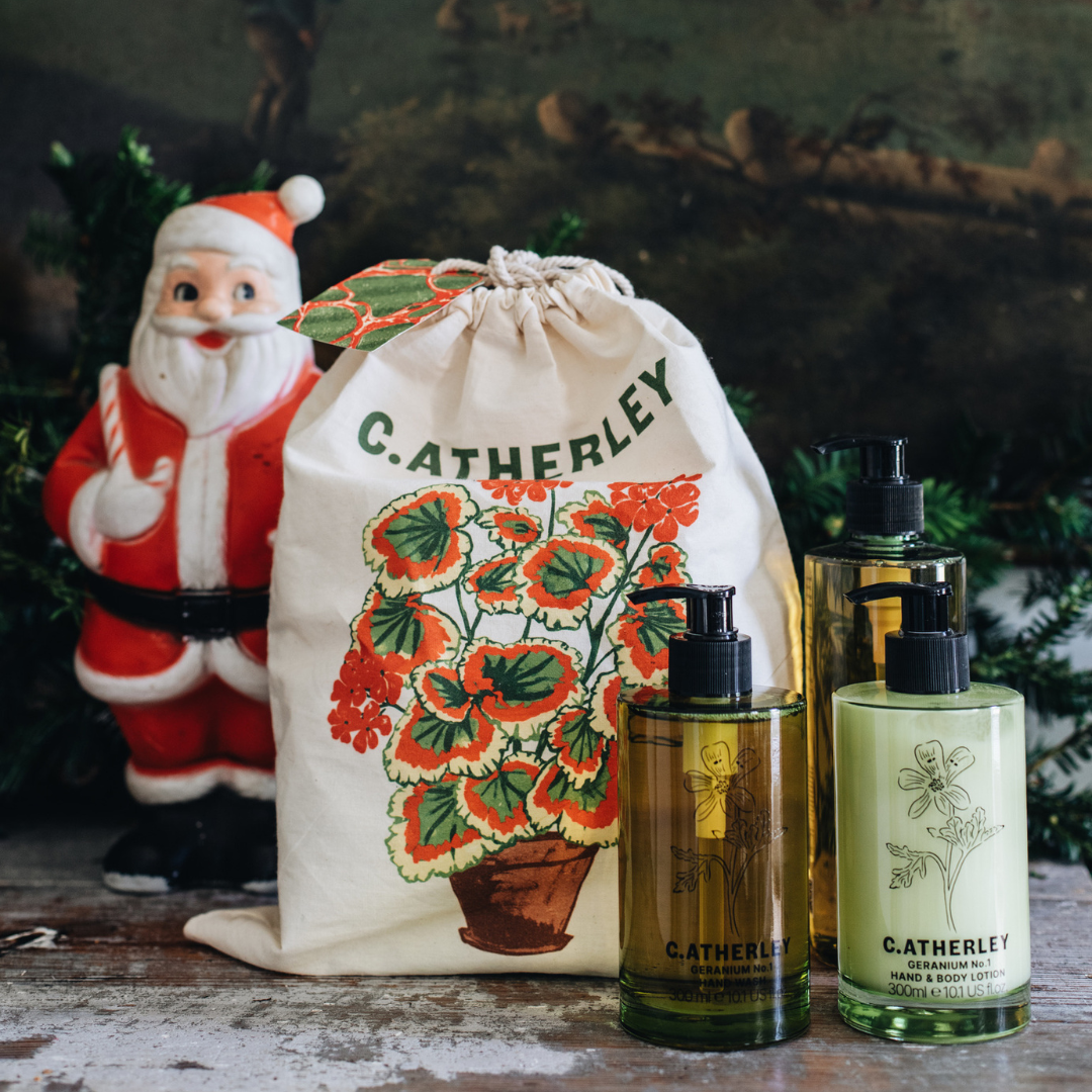 Potted Geranium Drawstring Bag