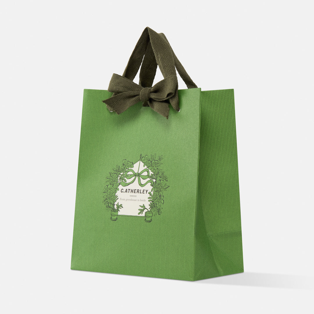THE GREEN EDIT GIFT BAG