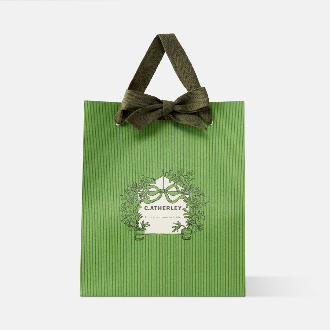 THE GREEN EDIT GIFT BAG