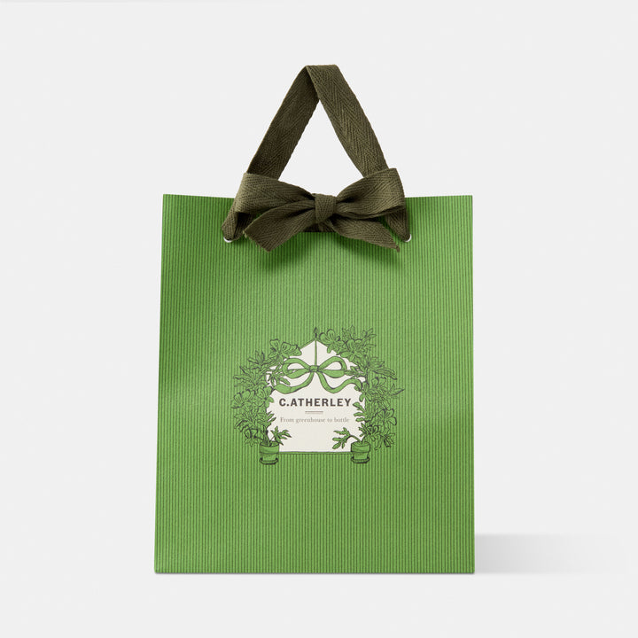 THE GREEN EDIT GIFT BAG