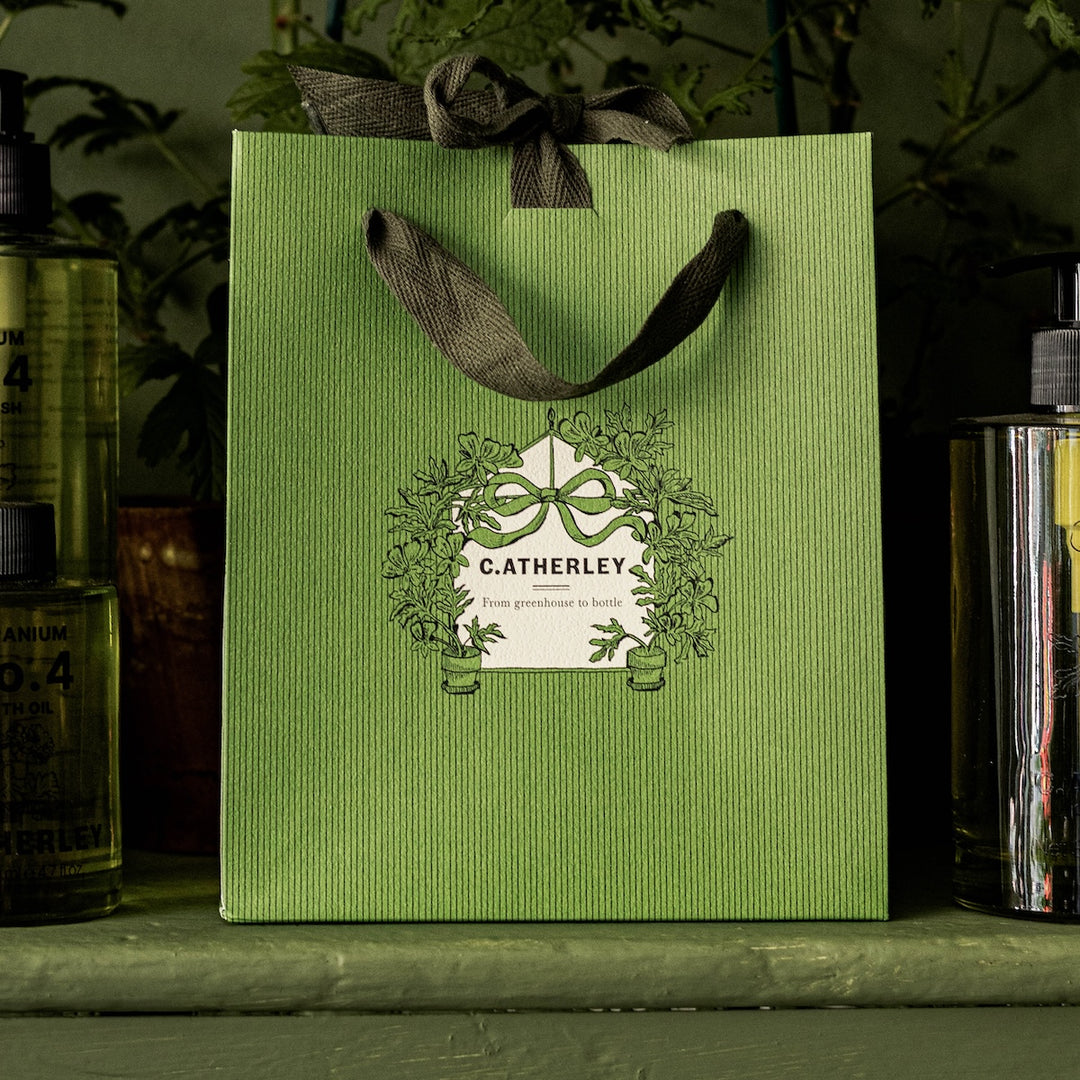 THE GREEN EDIT GIFT BAG